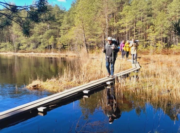 Vaade künka tipust Sipoonkorpi rahvuspargi lähistel